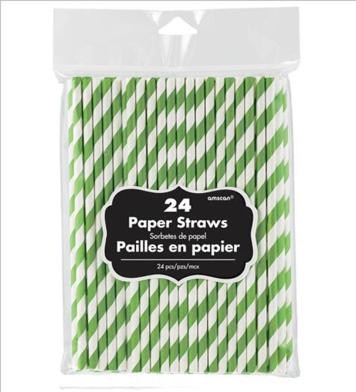 24 Pack Paper Straws - Kiwi