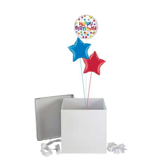 Birthday Surprise Balloon Box