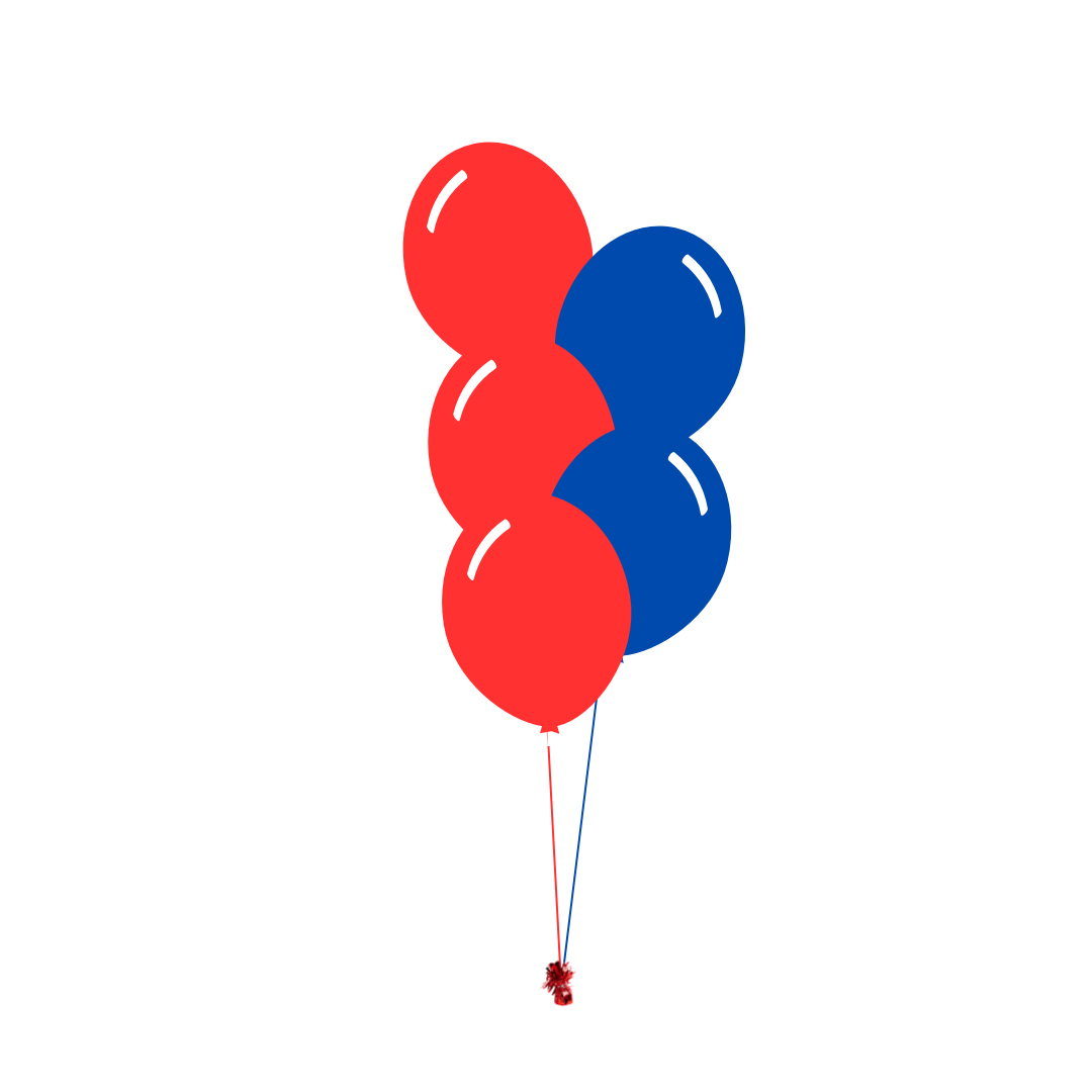 AFL: Melbourne Demons Arrangement of 5 Balloons