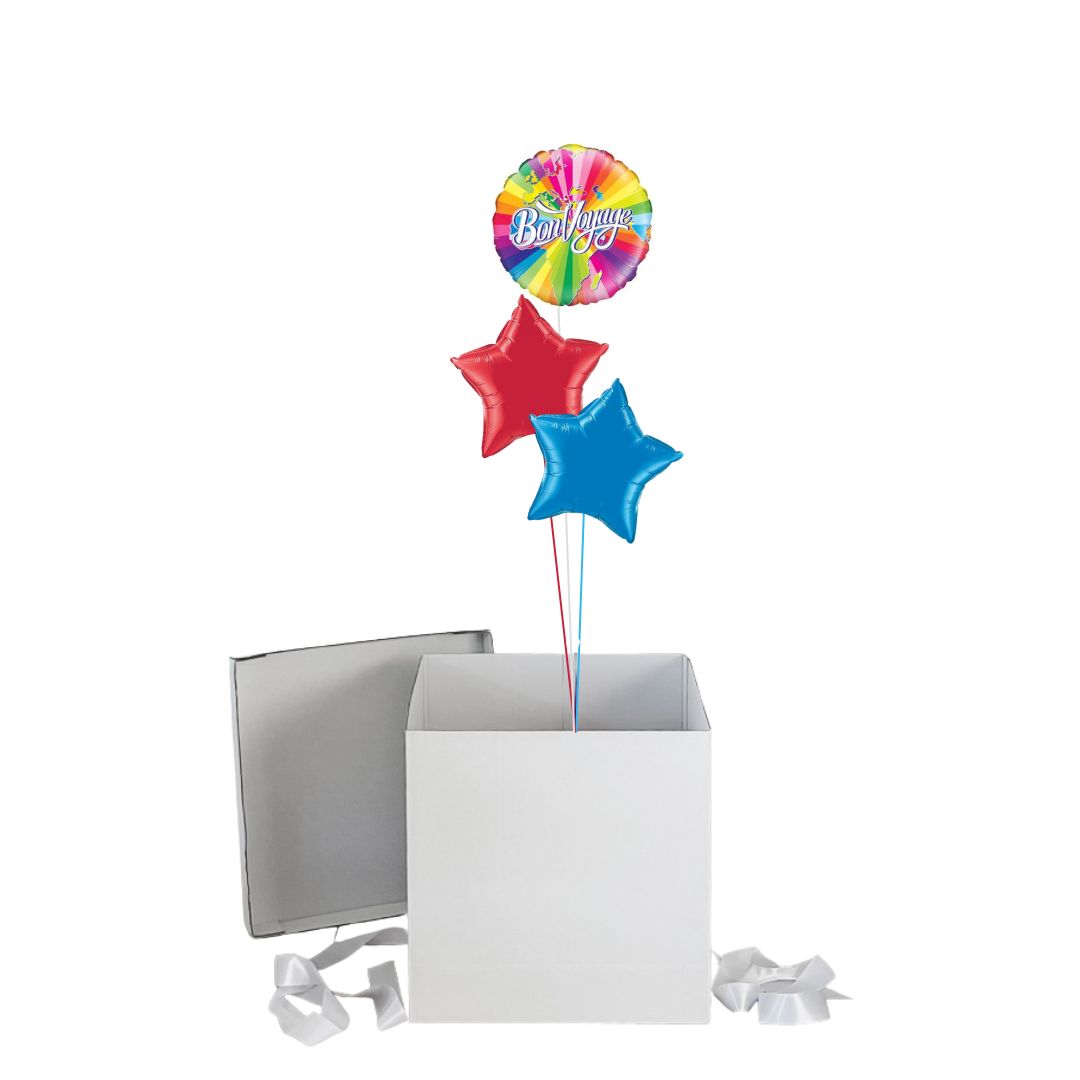 Bon Voyage (Goodbye) Surprise Balloon Box