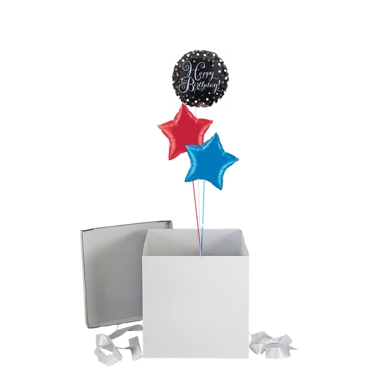 Silver Birthday Surprise Balloon Box