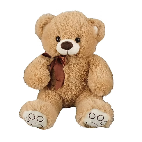 30cm Teddy